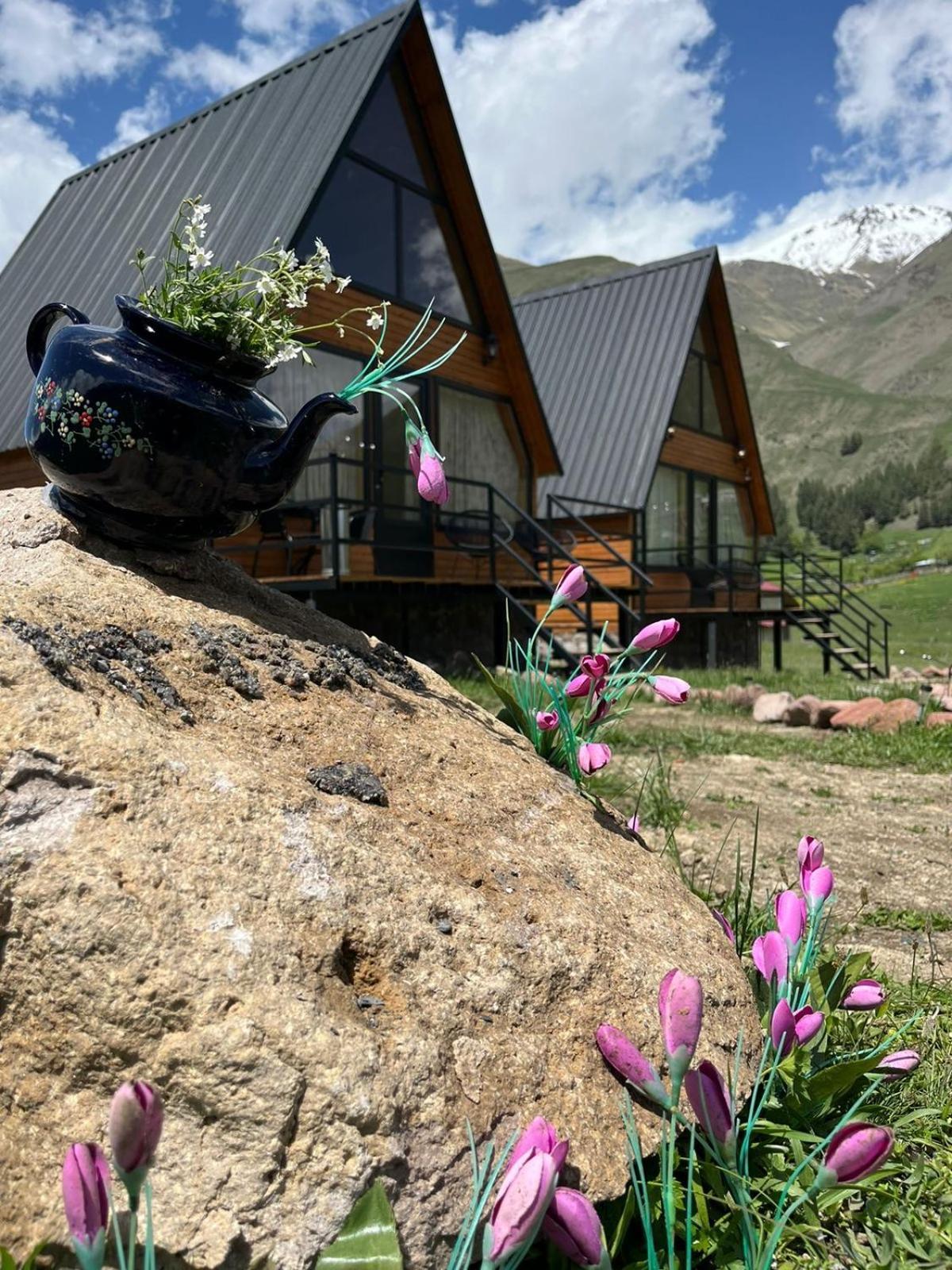 Mtisguli Cottages Казбеги Екстериор снимка
