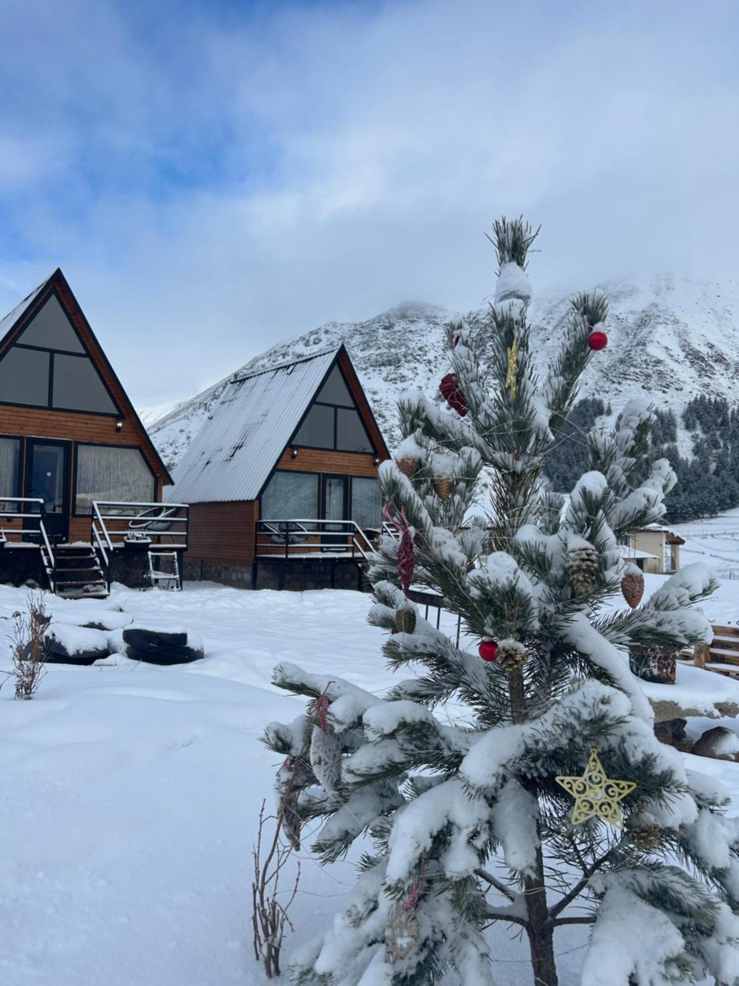 Mtisguli Cottages Казбеги Екстериор снимка